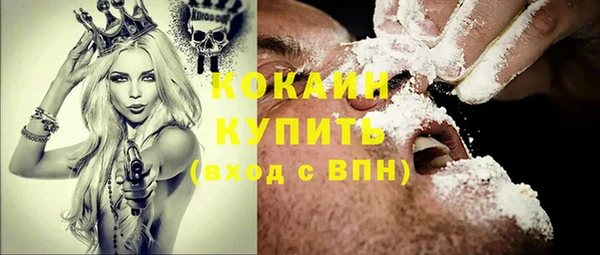 соль ск Алексин